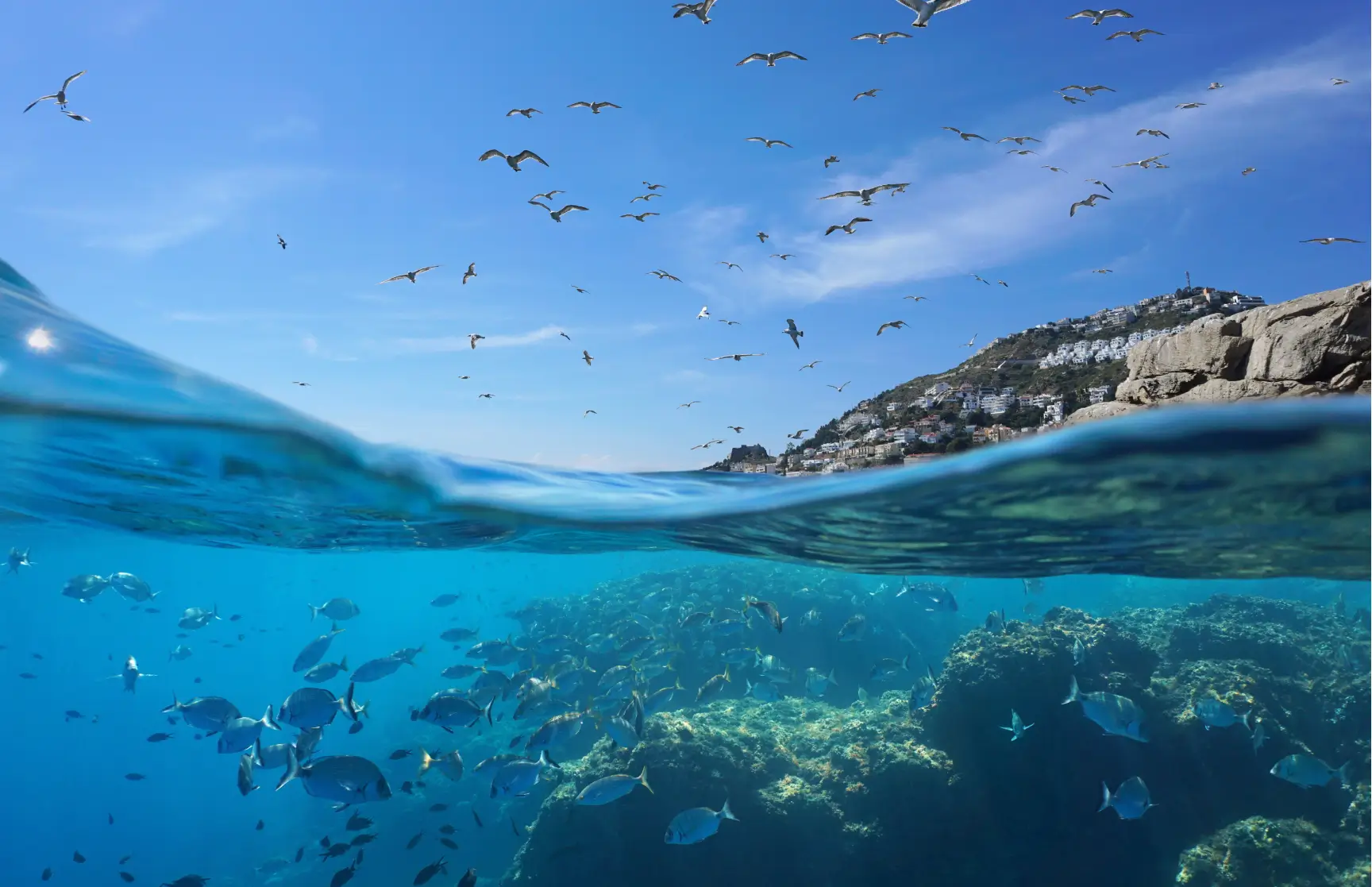 Split view of under the ocean water line and the sky above